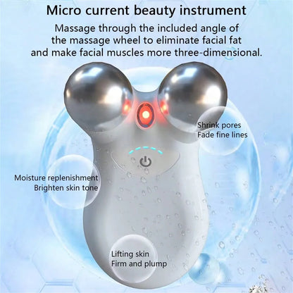 EMS Microcurrent Face Massage Stainless Steel Double Head RF Therapy Massager Skin Lifting Firming Beauty Device
